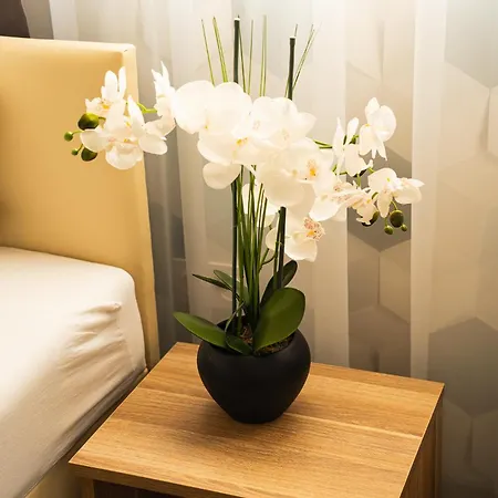 Diament 3* Ruda Slaska