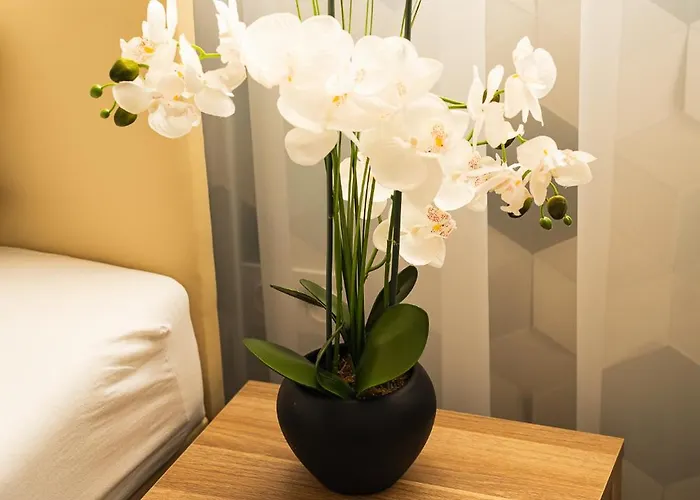 Diament 3* רודה שלונסקה